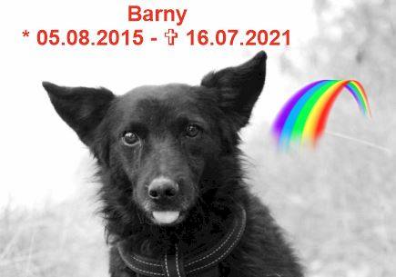 Barny