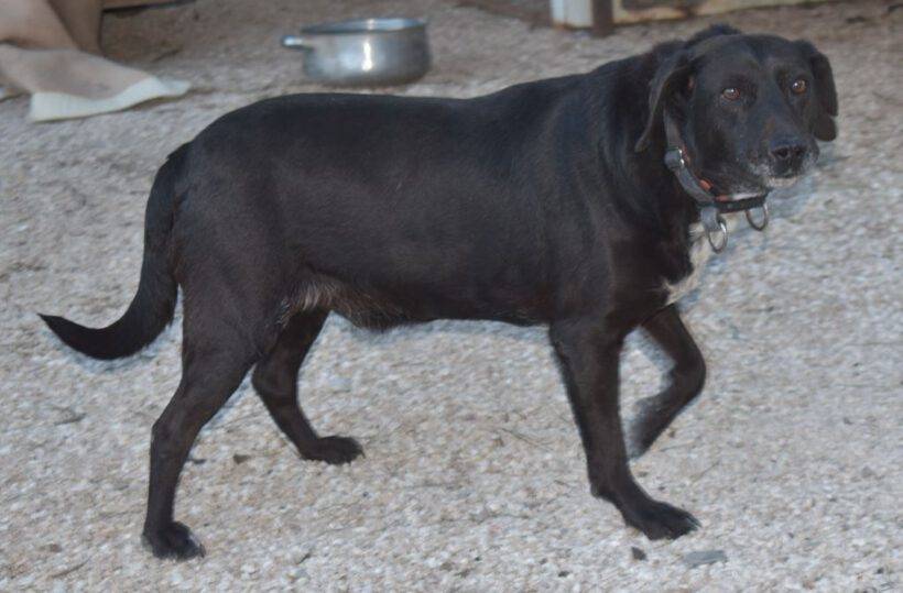 Bero