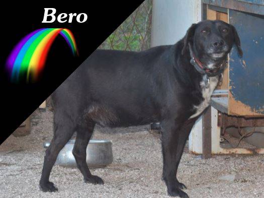 Bero