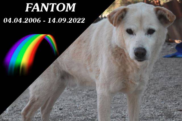Fantom