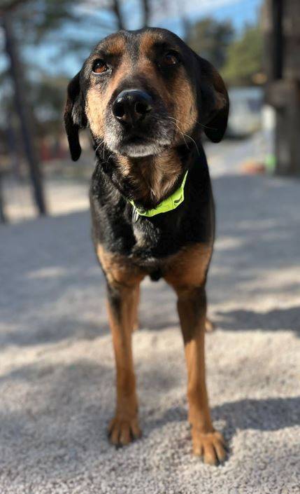 Lero