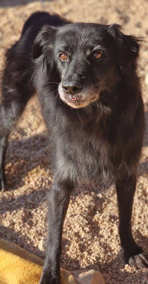 Kuki