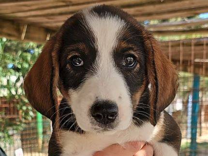 Nora
