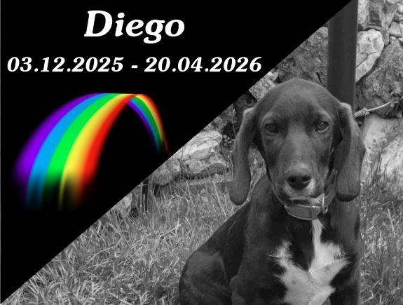 Diego
